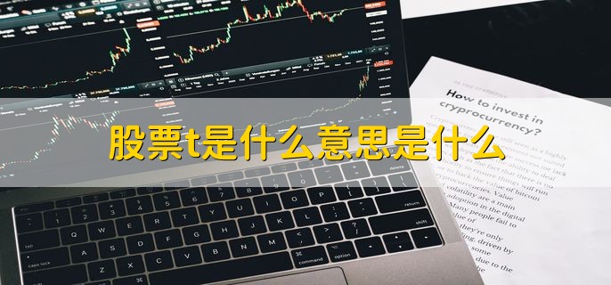 股票t是什么意思是什么，交易日