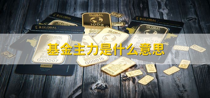 基金主力是什么意思，对基金走势起导向作用的资金