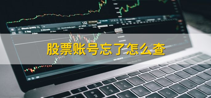 股票账号忘了怎么查，有以下两种方法