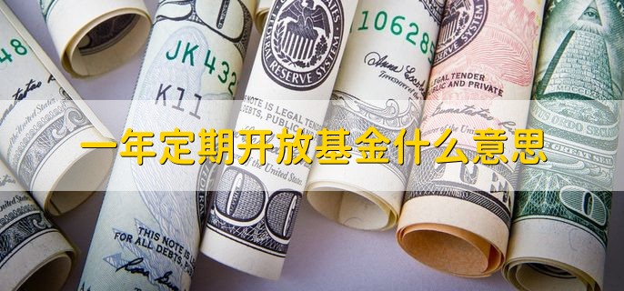 一年定期开放基金什么意思，每年定期开放一次的基金