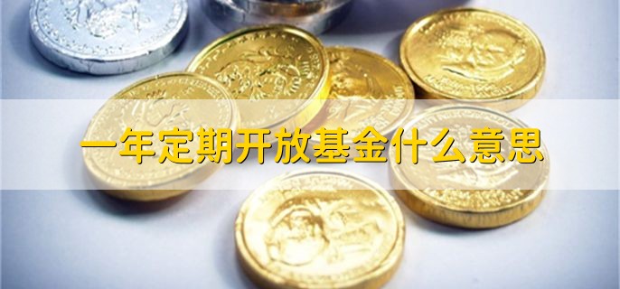 一年定期开放基金什么意思，每年定期开放一次的基金