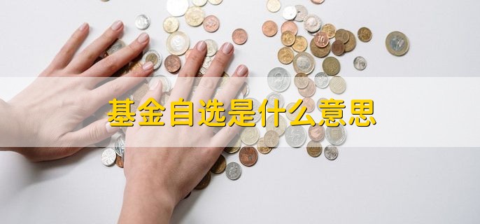 基金自选是什么意思，基金原理指的是什么