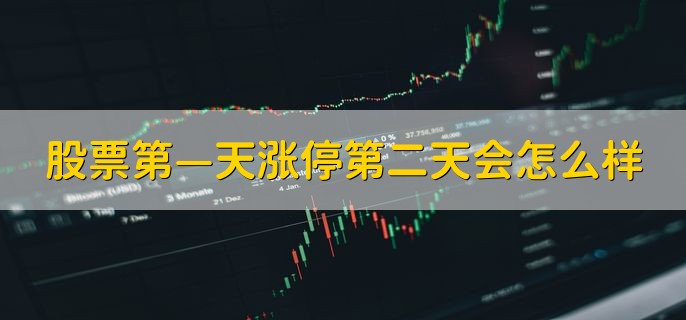 股票第—天涨停第二天会怎么样，上涨和下跌都有可能