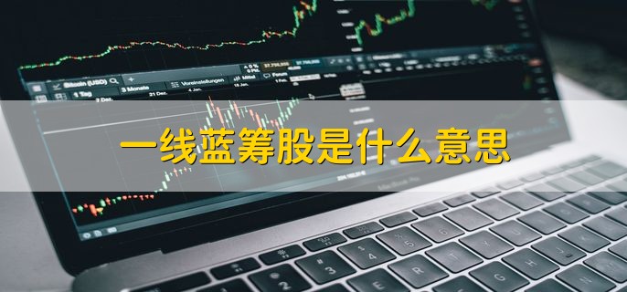 一线蓝筹股是什么意思，权重比较大的股票