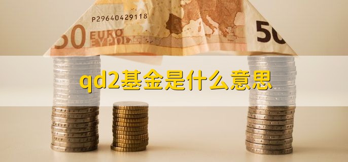 qd2基金是什么意思，是指QDII基金