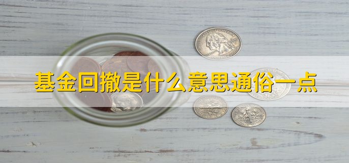 基金回撤是什么意思通俗一点，基金下跌