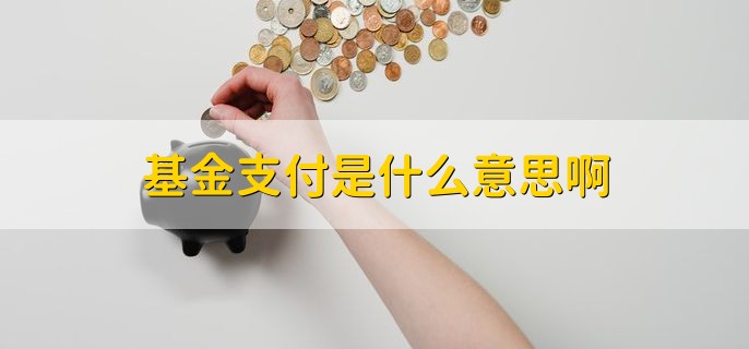 基金支付是什么意思啊，指统筹基金支付