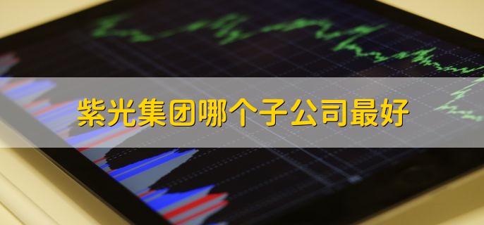 紫光集团哪个子公司最好，无法直接确定