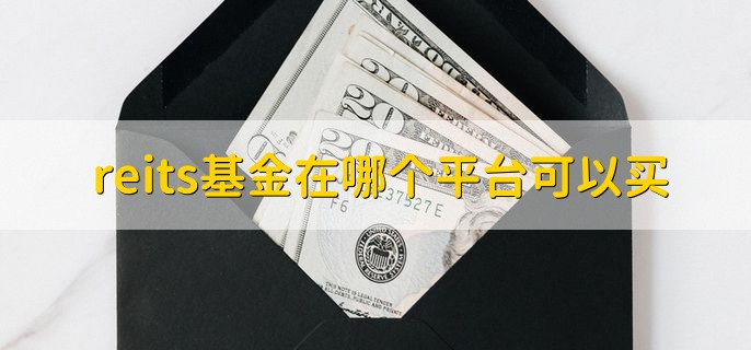 reits基金在哪个平台可以买，分以下四种