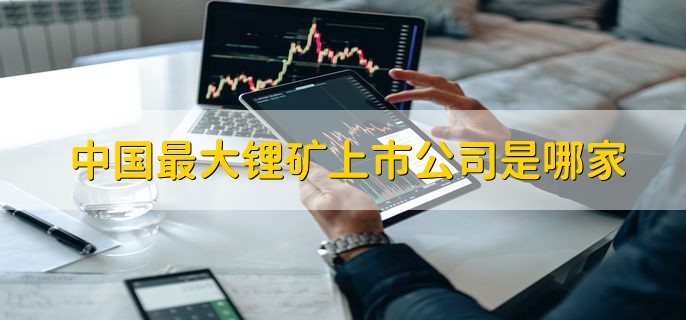 中国最大锂矿上市公司是哪家，西藏矿业