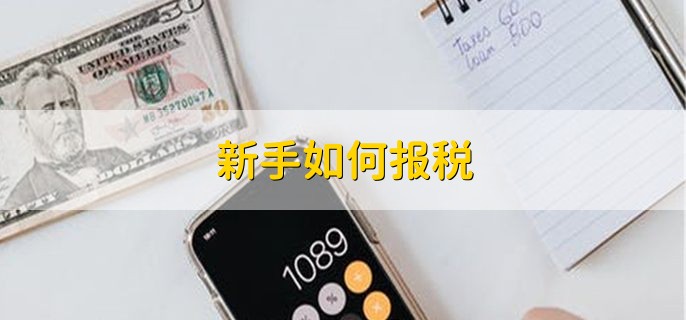 新手如何报税，有以下两种方法