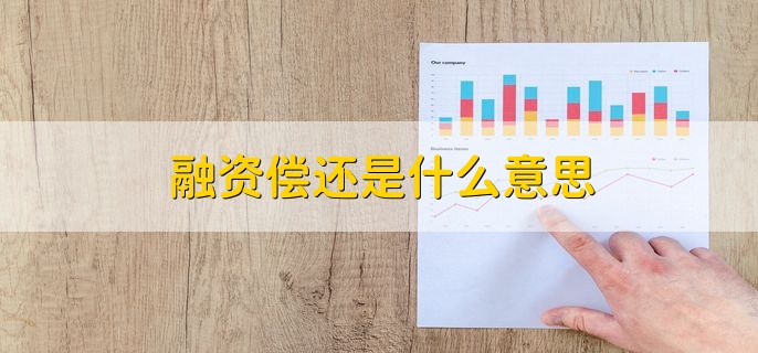 融资偿还是什么意思，向证券公司偿还融资的借款及利息