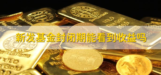 新发基金封闭期能看到收益吗，可以