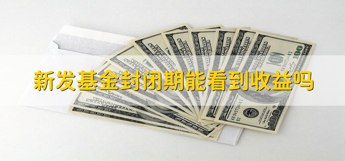 新发基金封闭期能看到收益吗，可以