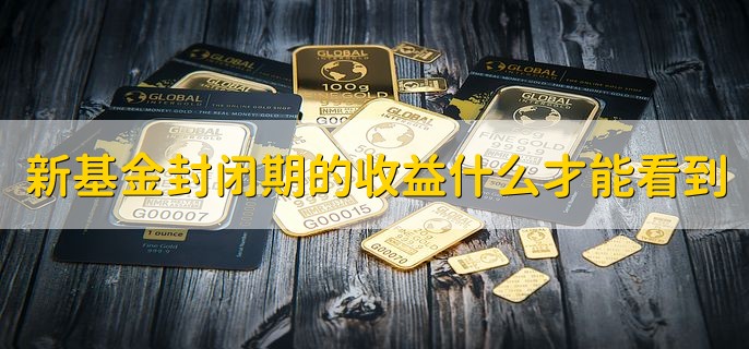 新基金封闭期的收益什么才能看到，建仓之后