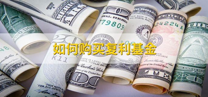 如何购买复利基金，正常购买基金即可