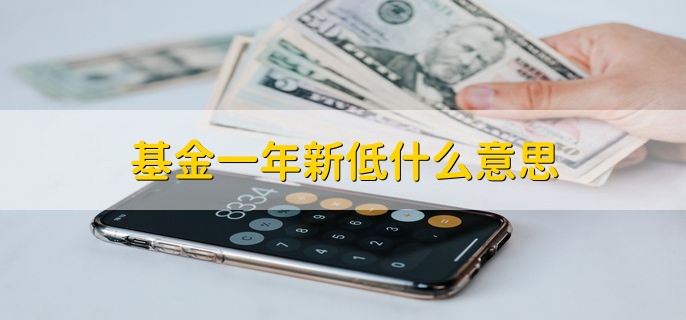 基金一年新低什么意思，一年的最低位