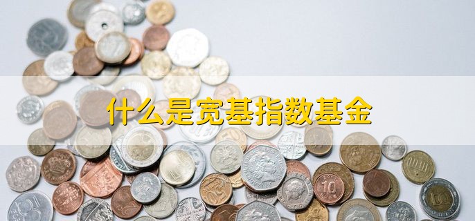 什么是宽基指数基金，具有相当代表性的指数基金