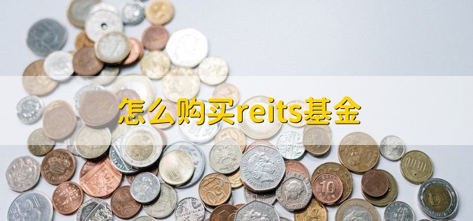 怎么购买reits基金，分以下两点