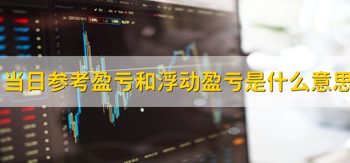 当日参考盈亏和浮动盈亏是什么意思，有以下两点详细解释