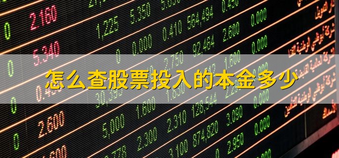 怎么查股票投入的本金多少，通过股票交易软件查看