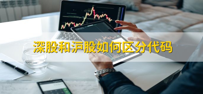 深股和沪股如何区分代码，分以下两点