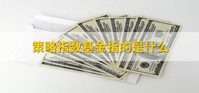 策略指数基金指的是什么，对持仓股进行策略性优化获得收益的基金