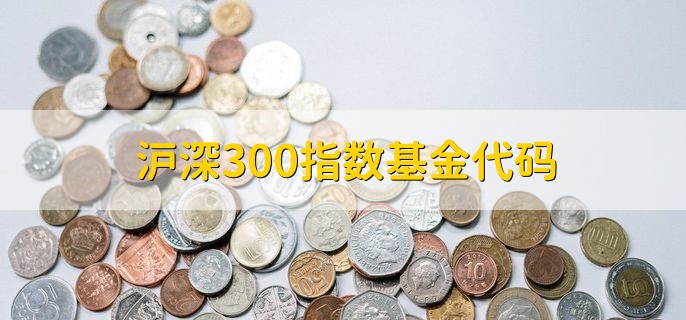 沪深300指数基金代码，是510300