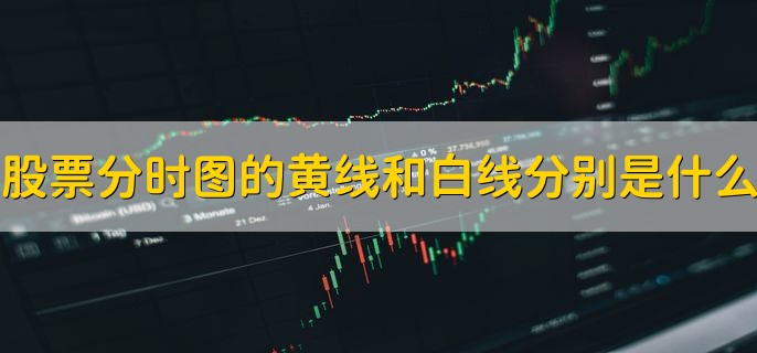 股票分时图的黄线和白线分别是什么意思，有以下两点