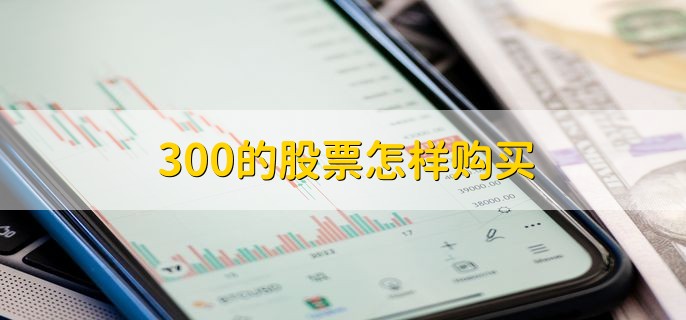 300的股票怎样购买，分以下四点