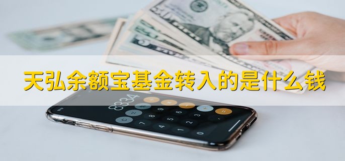 天弘余额宝基金转入的是什么钱，购买余额宝货币基金的钱