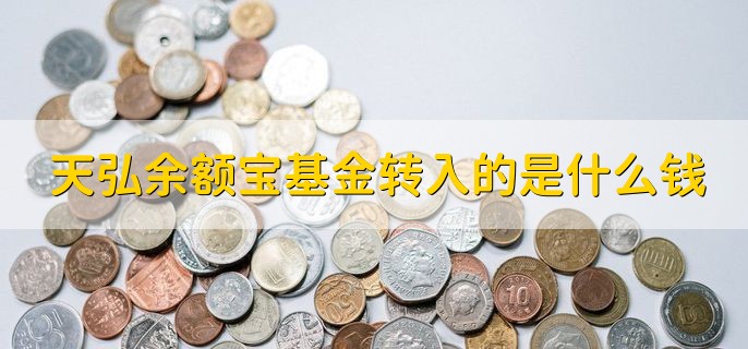 天弘余额宝基金转入的是什么钱，购买余额宝货币基金的钱