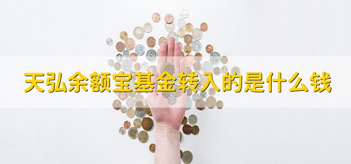 天弘余额宝基金转入的是什么钱，购买余额宝货币基金的钱