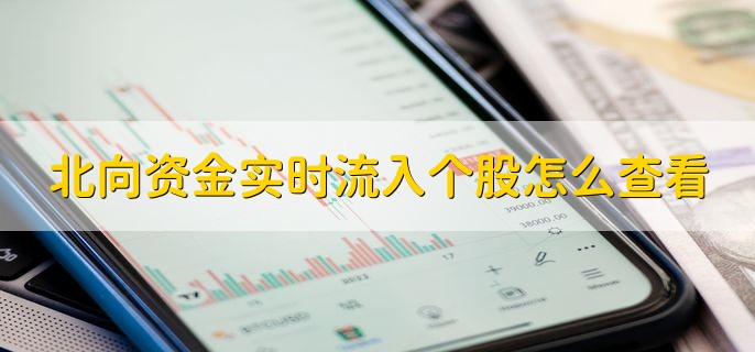 北向资金实时流入个股怎么查看，有以下三步