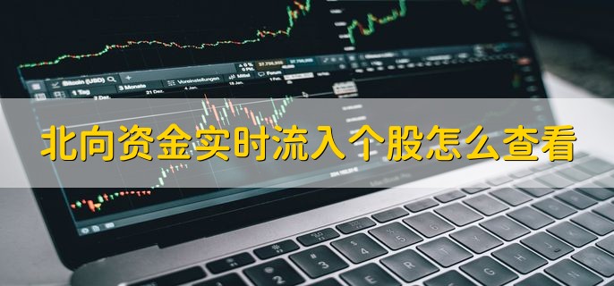 北向资金实时流入个股怎么查看，有以下三步