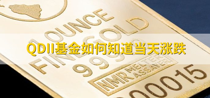 QDII基金如何知道当天涨跌，看估值或发布的净值去判断