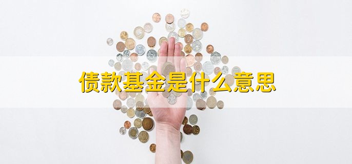 债款基金是什么意思，债券基金