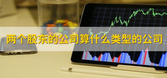 两个股东的公司算什么类型的公司，股份有限公司