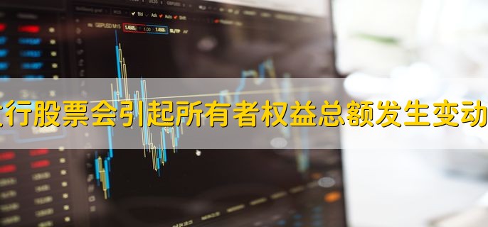 发行股票会引起所有者权益总额发生变动吗，会发生变动