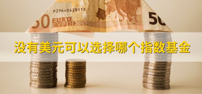 没有美元可以选择哪个指数基金，标普500指数基金