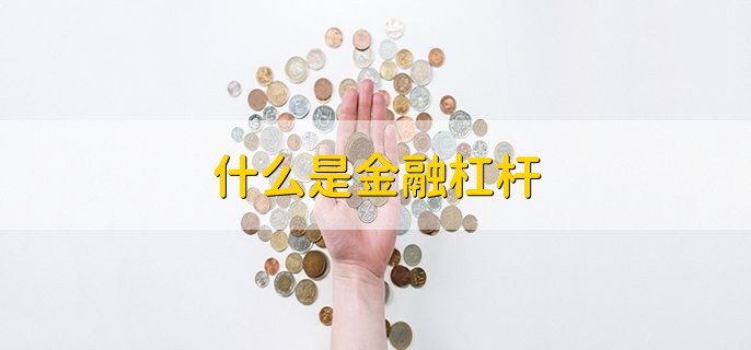 什么是金融杠杆，向金融机构或他人借贷的行为