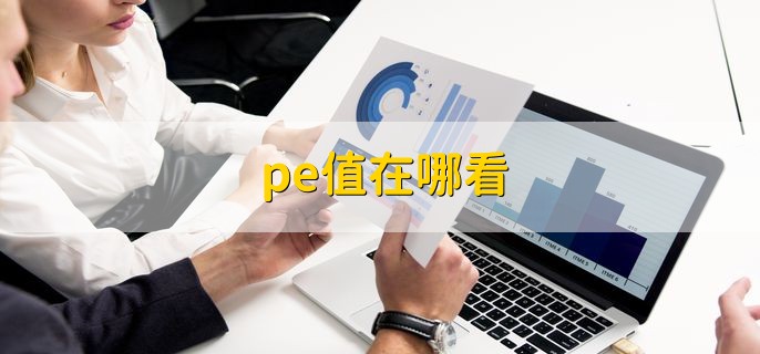 pe值在哪看，在股票交易软件中看