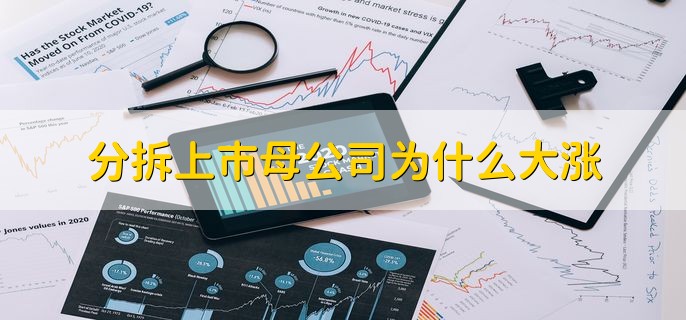 分拆上市母公司为什么大涨，分拆上市后母公司可以控制子公司