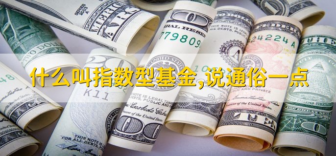 什么叫指数型基金，说通俗一点