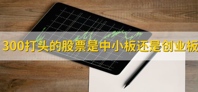 300打头的股票是中小板还是创业板，中小板股票