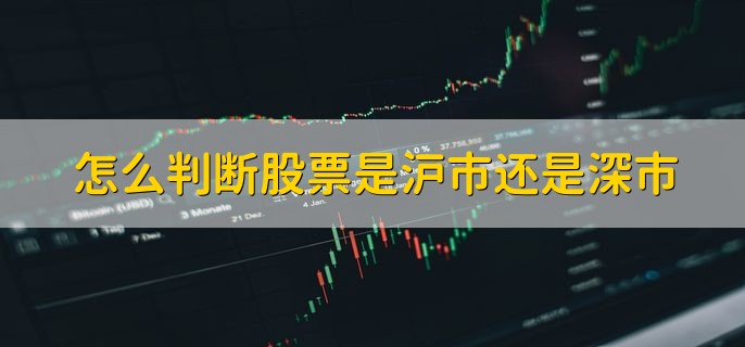 怎么判断股票是沪市还是深市，看股票代码