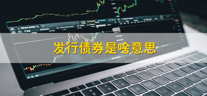 发行债券是啥意思，发行债券的过程是啥