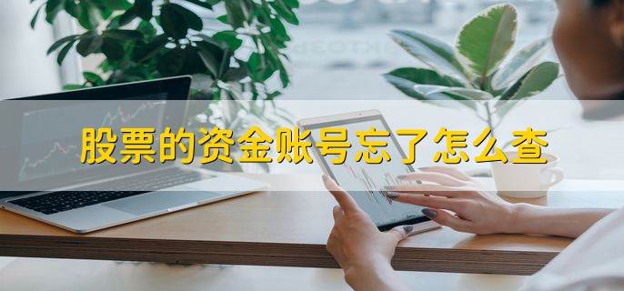 股票的资金账号忘了怎么查，有以下四点